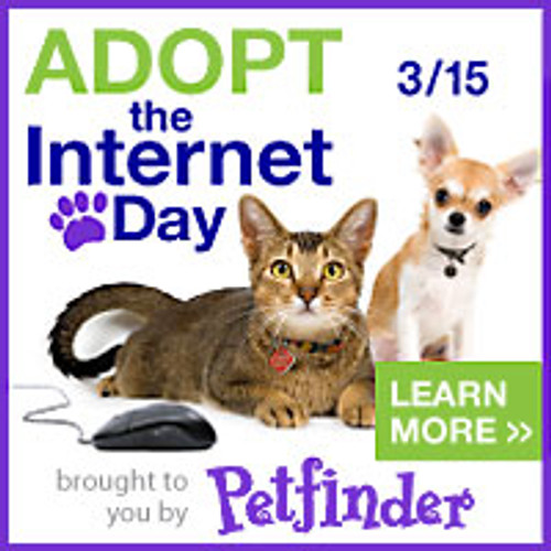 Help Petfinder Adopt the Internet March 15