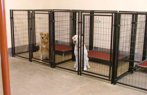 Campbell Boarding Kennels in Mount Vernon, Ohio