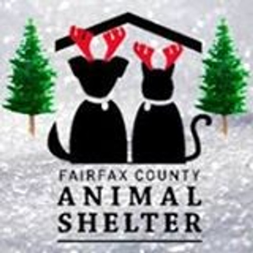 Fairfax County Animal Shelter receives 35 bed donations in 24 hours!