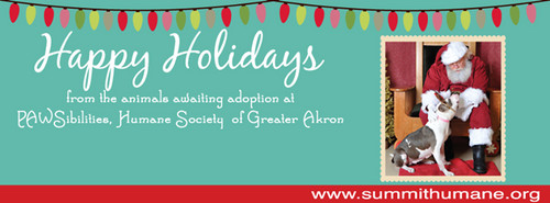 Pawsibilities Humane Society of Greater Akron