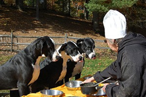 Carlene White of the Service Dog Project