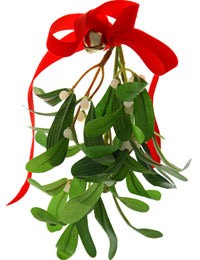 Mistletoe