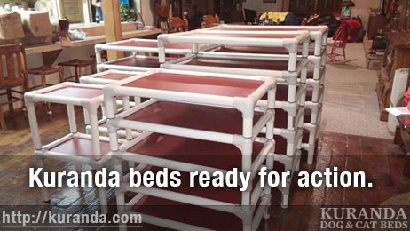 Durable Kuranda Beds