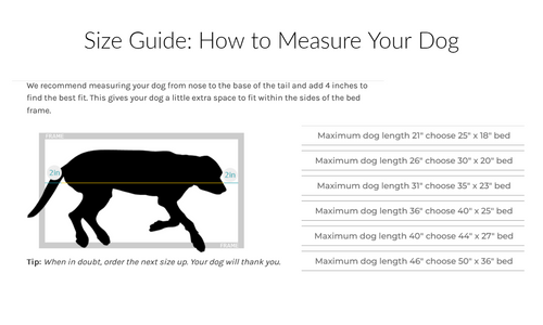 A Guide to Choosing the Right Kuranda Dog Bed Size